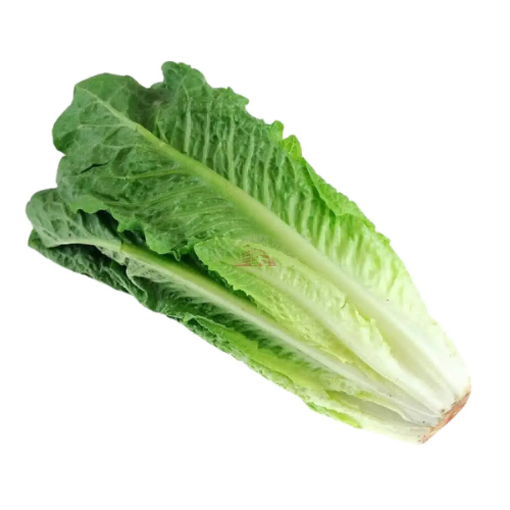 Romain Lettuce Heart 12oz Vegetable