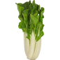 Bok Choy, 12oz