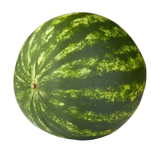 Mini Watermelon, 2-3lbs