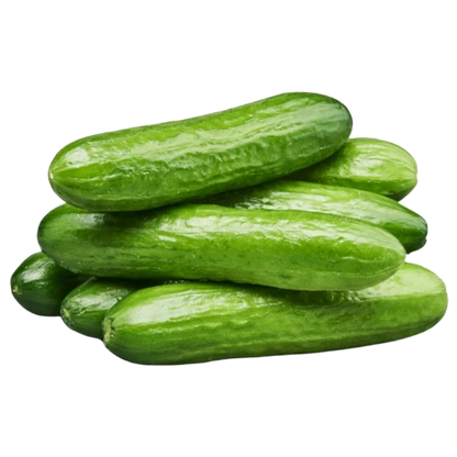 Fresh Mini Cucumbers, 16oz
