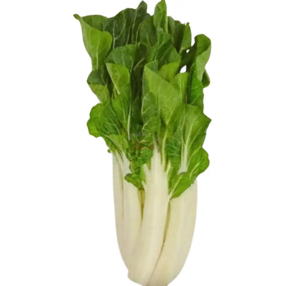 Bok Choy 12oz Vegetable