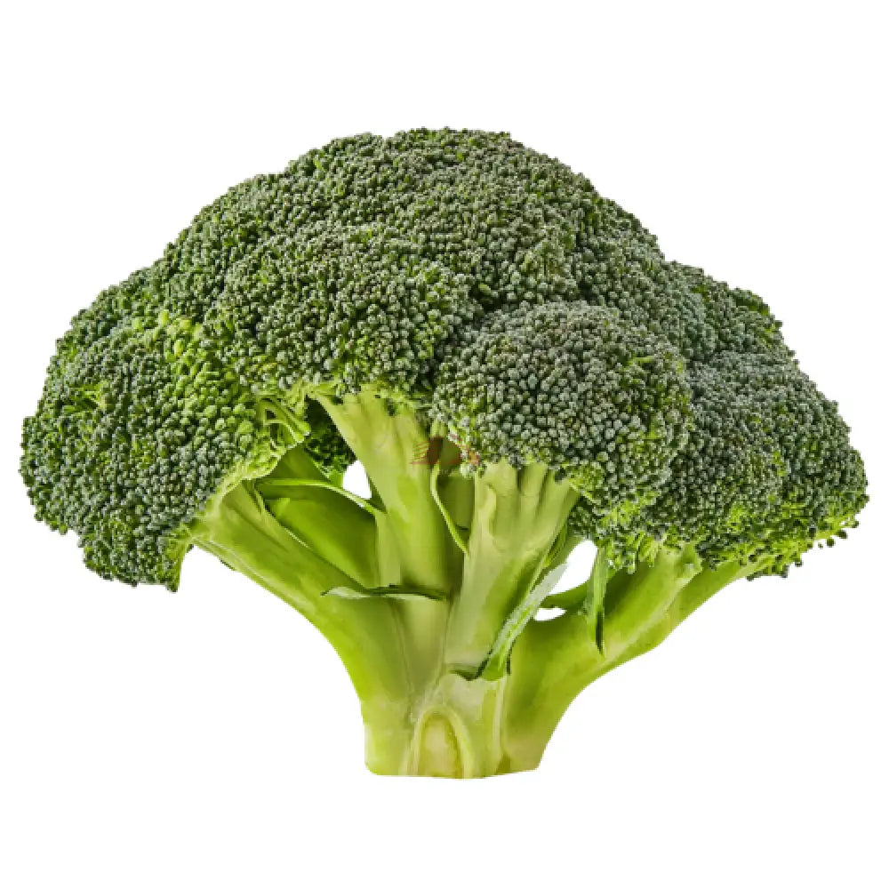 Broccoli 12oz Vegetable