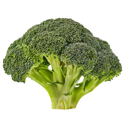 Broccoli 12oz Vegetable