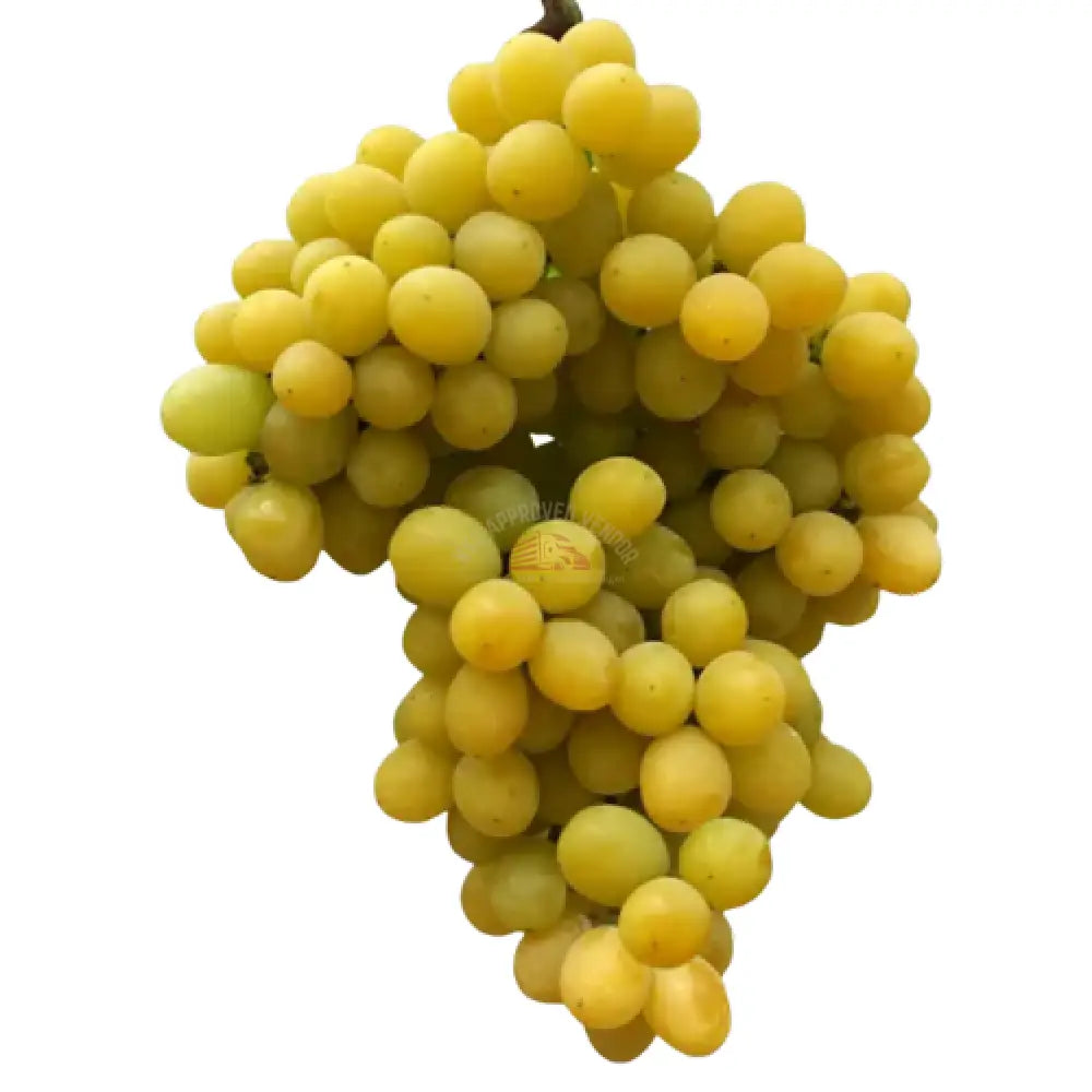 Cotton Candy Grapes 3lbs. Grapes