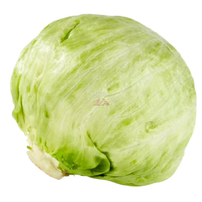 Head Lettuce Vegetable