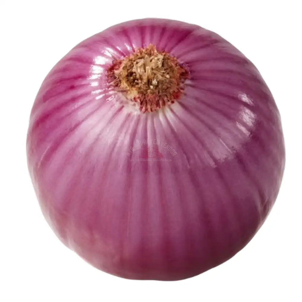 Red Onion Vegetable