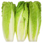 Romain Lettuce Heart 12oz Vegetable