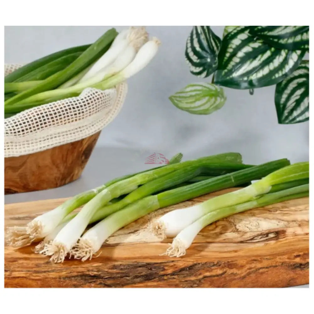 Scallion Vegetable
