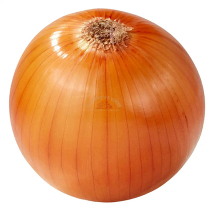 Yellow Onion 2 count 2lb Bag Yellow Onion